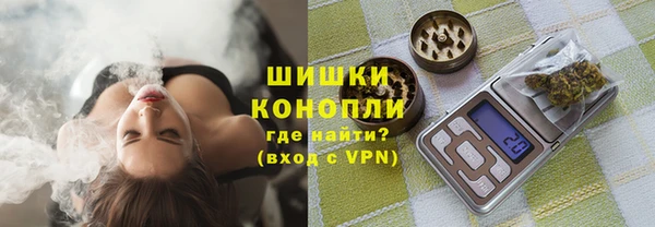 прущие грибы Абдулино