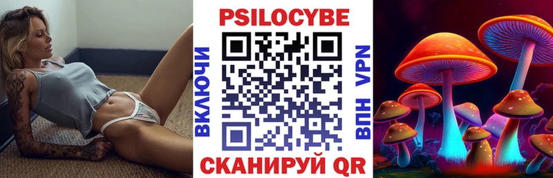 Псилоцибиновые грибы Psilocybine cubensis  Котово 